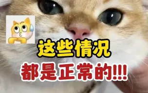 Télécharger la video: 别过度关注猫咪，这些情况都正常