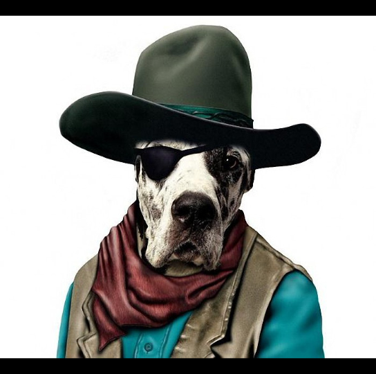 时尚动物爱穿搭(6)