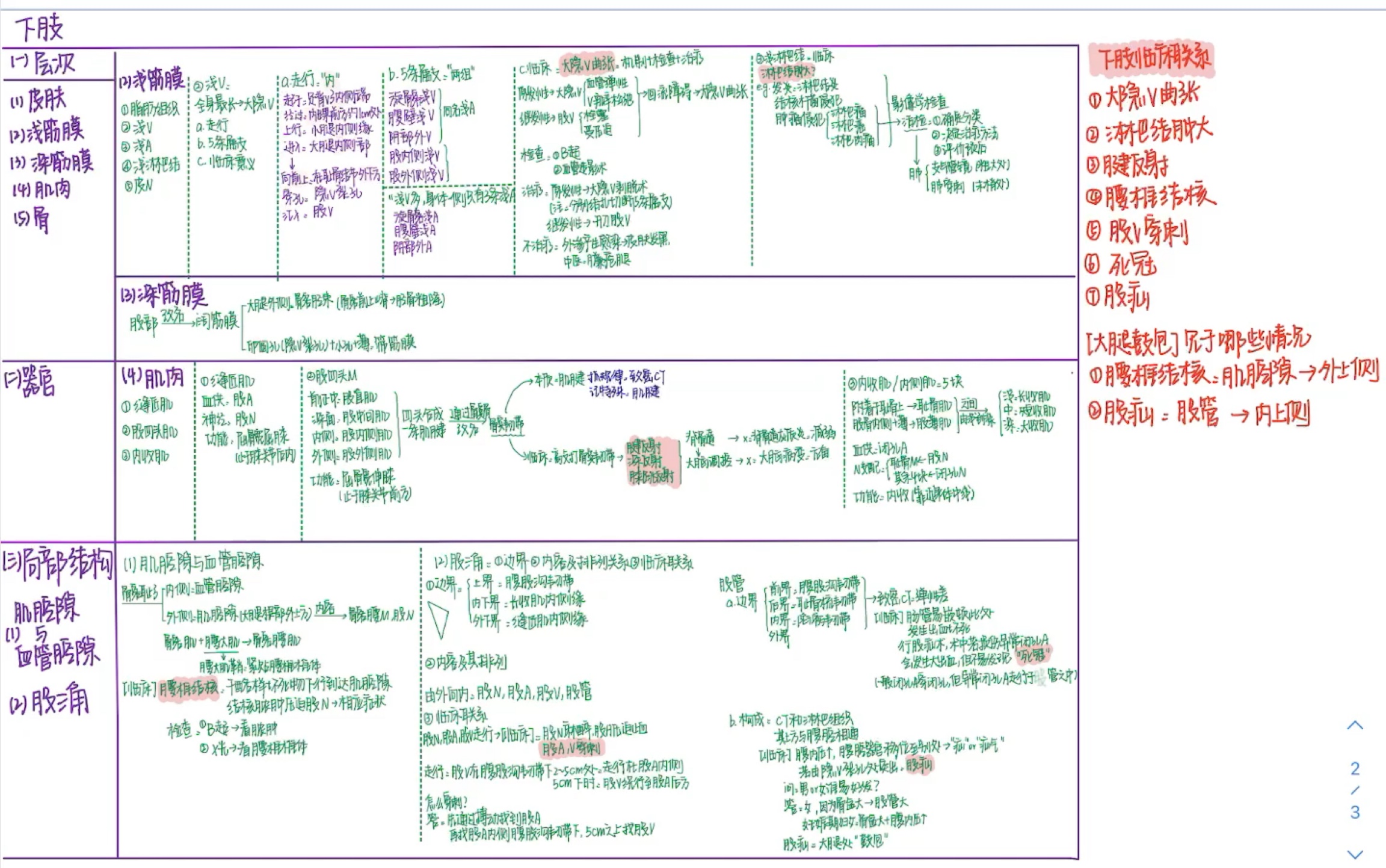 [图]【局部解剖学】「下肢」