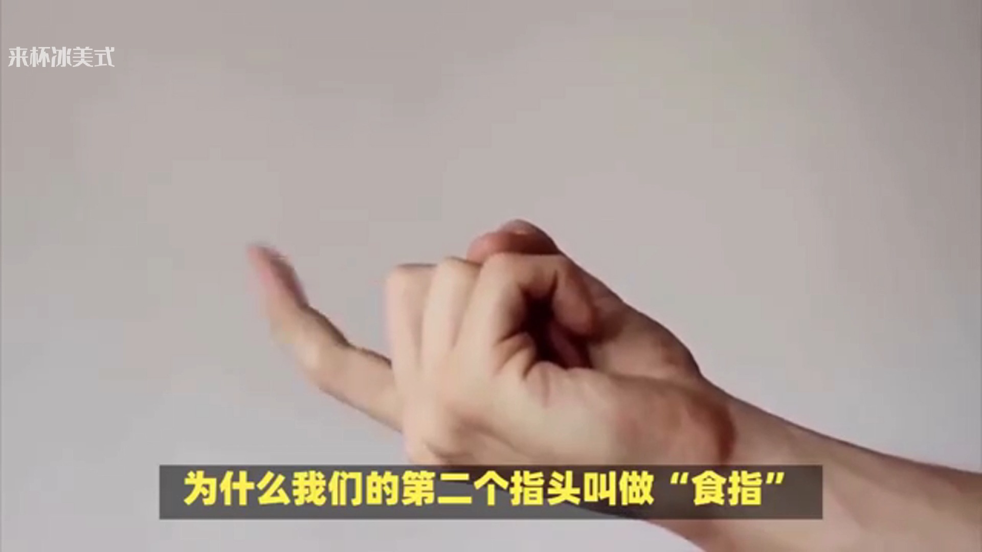 食指是哪个手指 名字图片