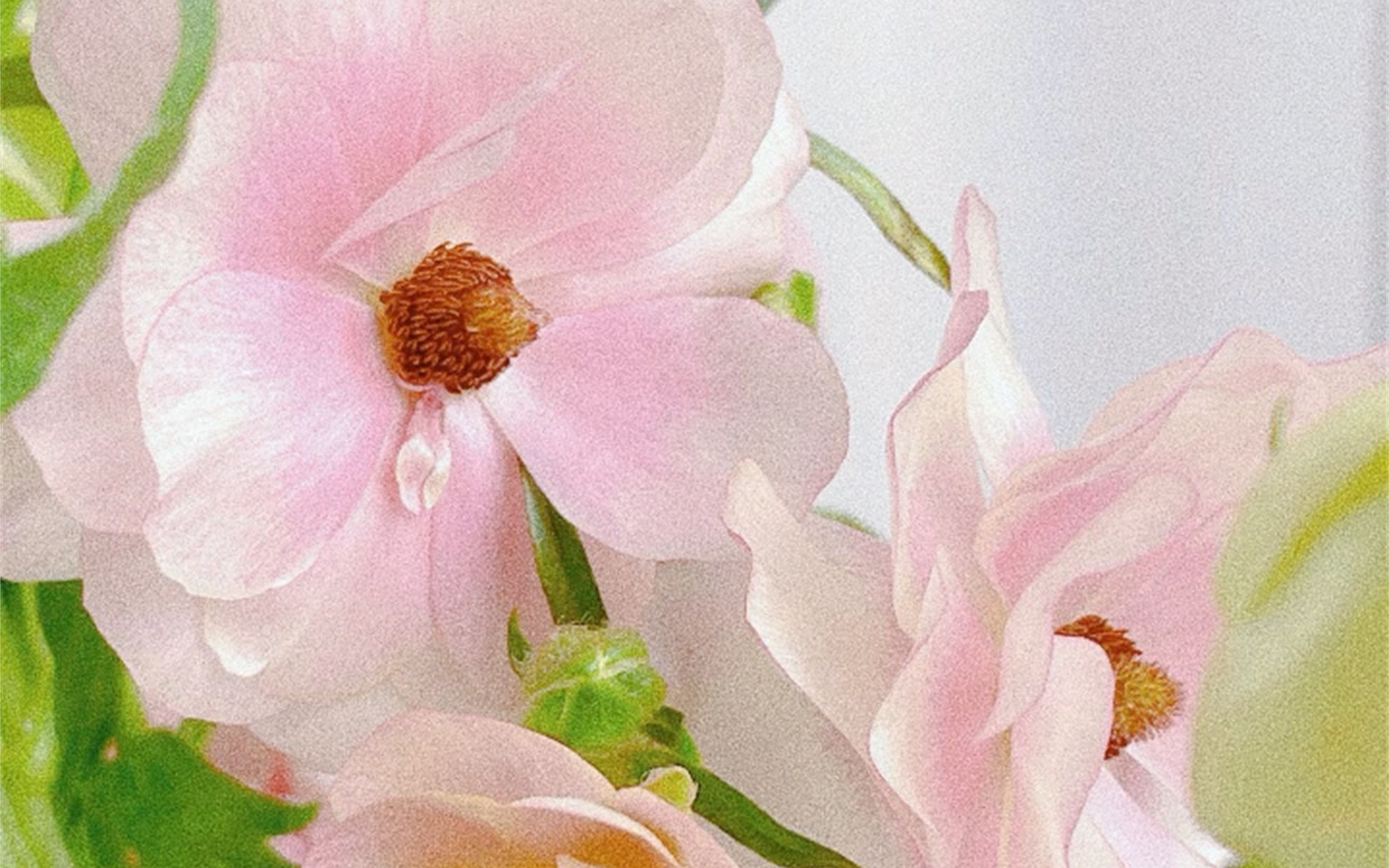 超美拍花94奶油油画感滤镜96