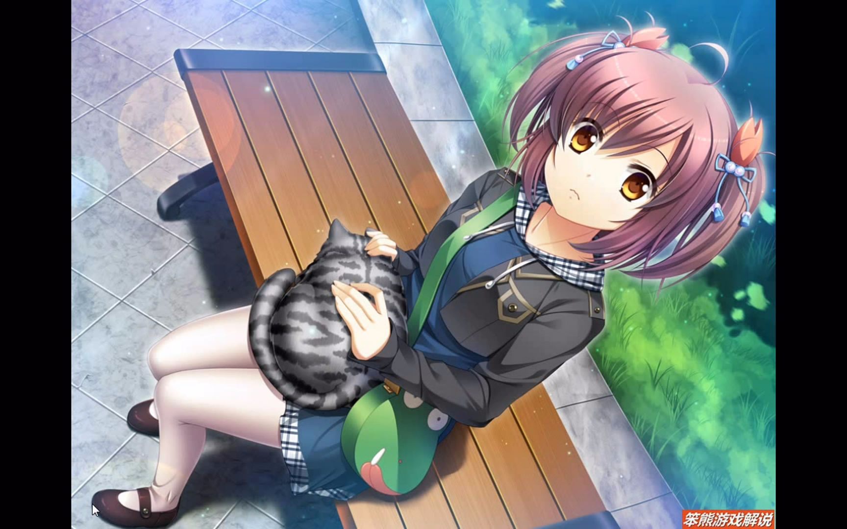 【笨熊解说】《高考恋爱100天》ep10:你能想到皇阿玛会是一只大猫么?