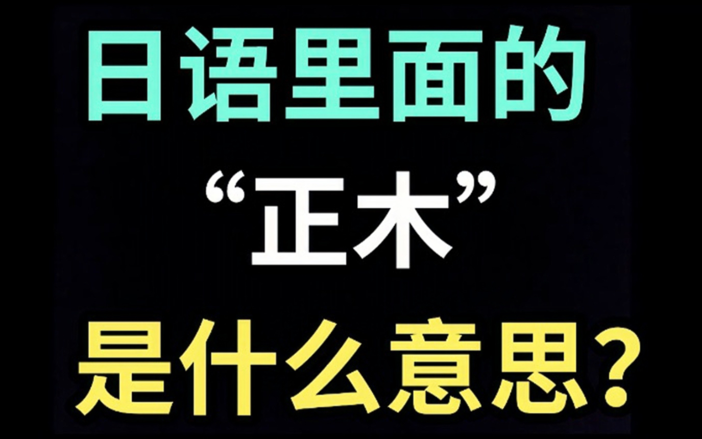 日语里的“正木”是什么意思?【每天一个生草日语】哔哩哔哩bilibili