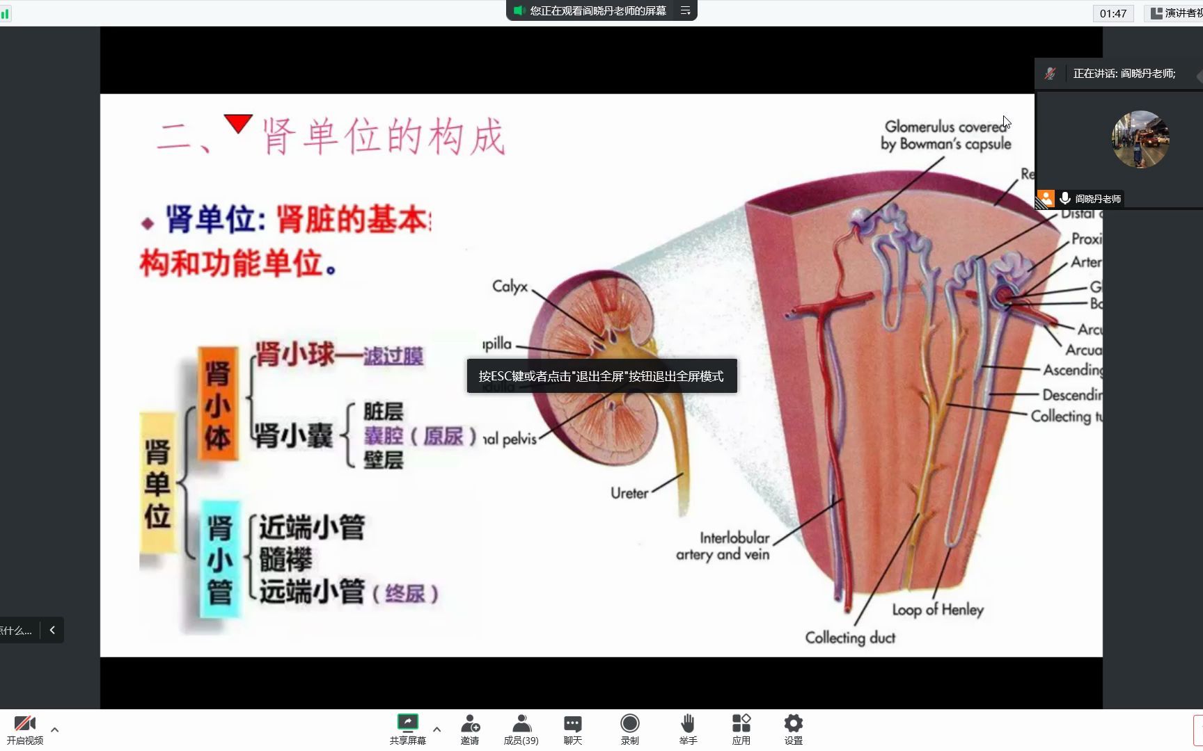 [图]第十二次课 人体解剖生理学