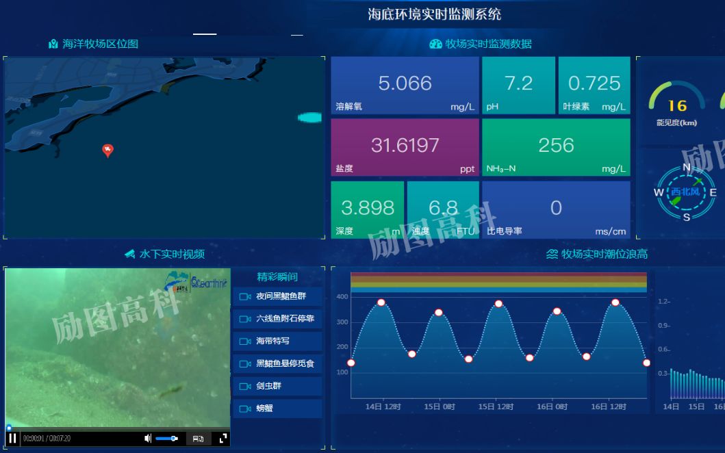 海洋牧场建设三大步骤:海洋牧场生态环境构建、海洋牧场生物培育和驯化以及智慧海洋牧场管理系统搭建!哔哩哔哩bilibili