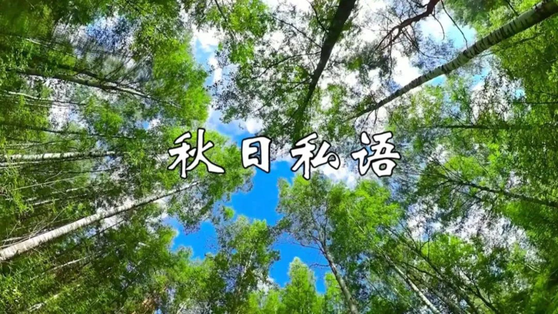 钢琴名曲《秋日私语》,唯美浪漫的旋律,百听不厌哔哩哔哩bilibili