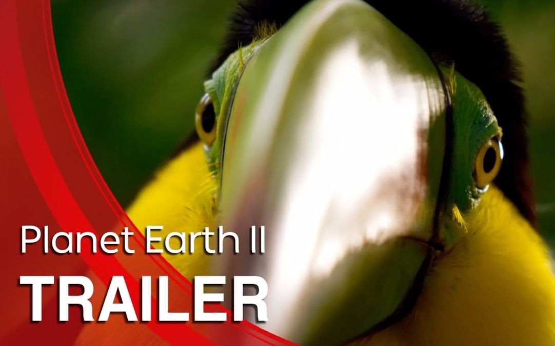 [图]Planet Earth II- Trailer - BBC One.mp4