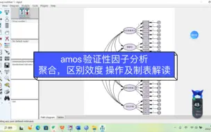 下载视频: amos 验证性因子分析/CFA 结构效度、聚合效度、区分效度