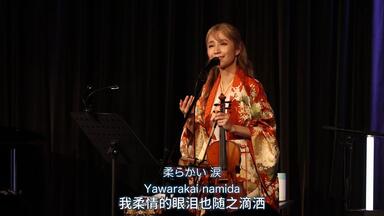 WILD SKETCH SHOW Live 2002-Sketch Show(細野晴臣,高橋幸宏) Special