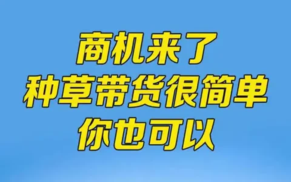 抖音小程序帮你种草带货,享受平台红利,商家个人都有用,很简单哔哩哔哩bilibili