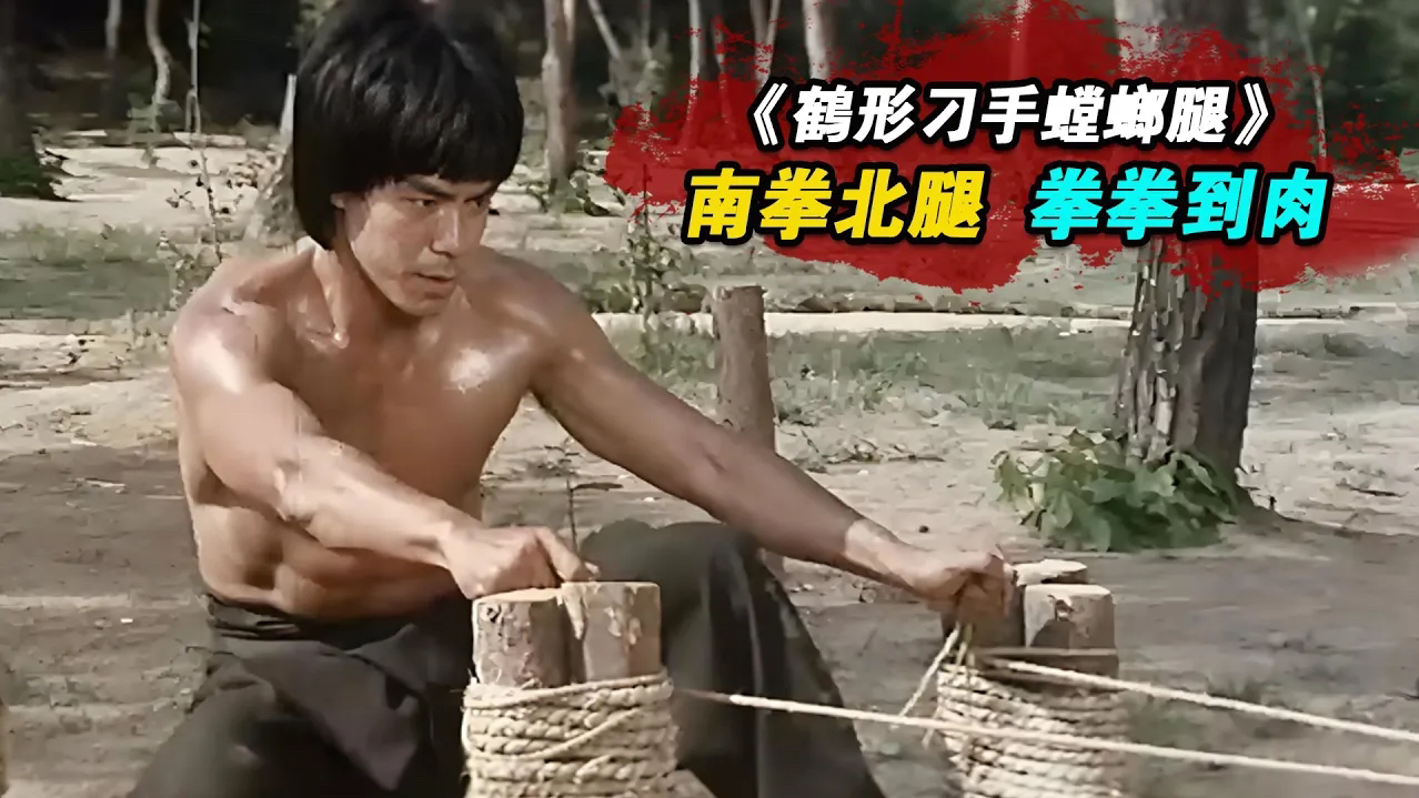 1983年绝版武侠片,南拳北腿大战武林第一高手,拳拳到肉精彩绝伦不容错过!精彩哔哩哔哩bilibili