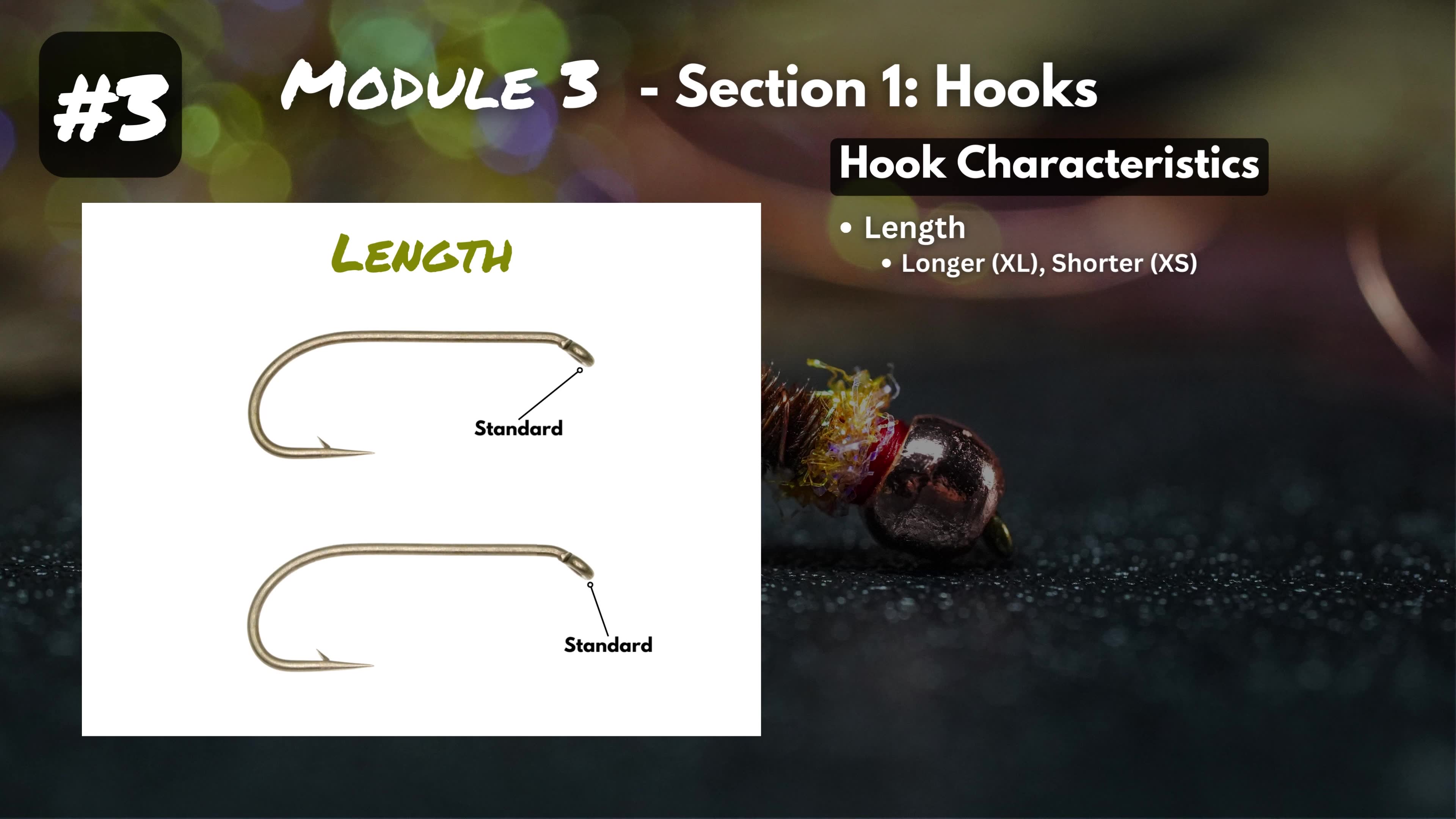 5 Fundamentals of Fly Tying Hooks Module 3, Section 1哔哩哔哩bilibili