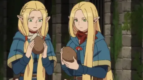 爱晒太阳的尼可