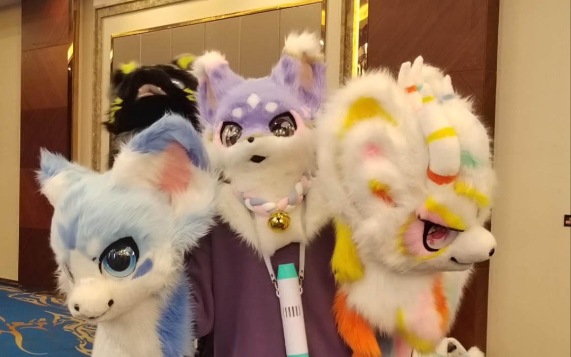 拿首好戏(沈阳萌兽聚正在进行中)