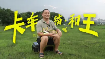 Video herunterladen: 粉丝百万的博主，和猫住在卡车里