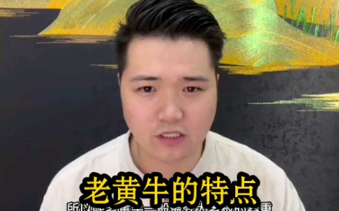 老黄牛特点哔哩哔哩bilibili