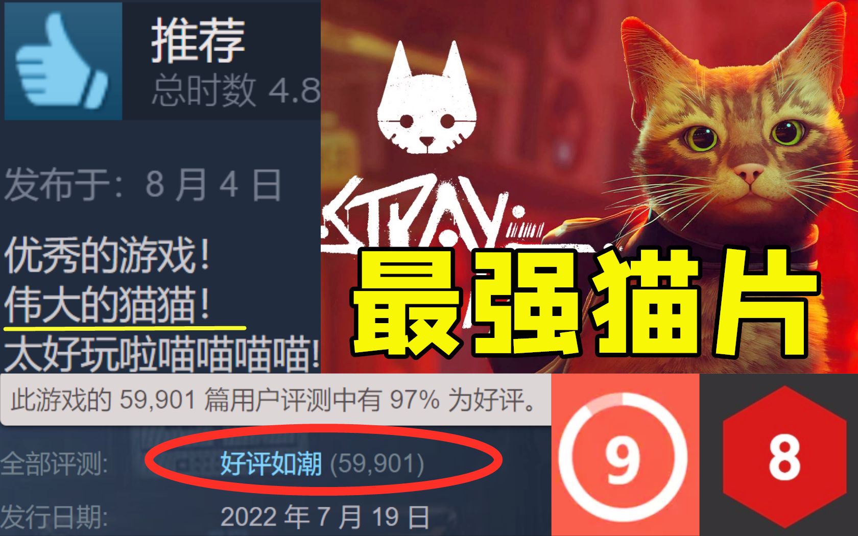 [图]暑期必玩！Steam今年好评率最高的猫咪大冒险游戏！《迷失Stray》