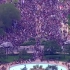 [美国暴乱]费城十万人游行示威。人山人海!我感觉不止十万吧！