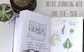 Gwendolyn Nevarez | 植物系手绘本 Nature Journaling Week  June 13th  20th哔哩哔哩bilibili