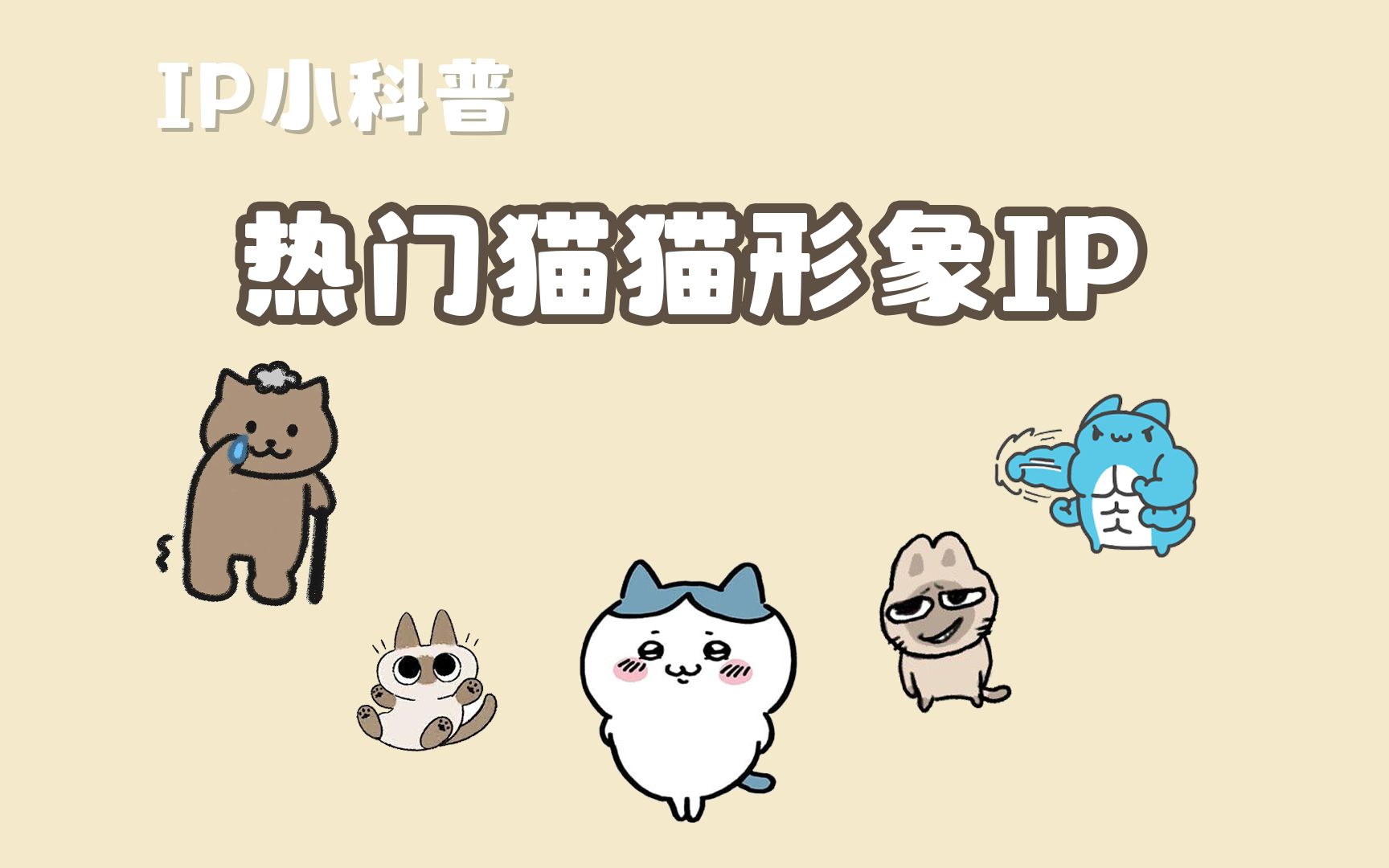 盘点近期热门的猫猫形象IP,你认识几个呢?哔哩哔哩bilibili