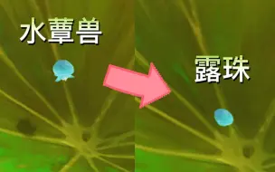 Download Video: 原来荷叶上的露珠是水蕈兽变的？【原神】