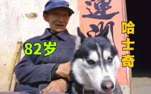 Tải video: 82岁老人养哈士奇，这画风，跟我想的不太一样