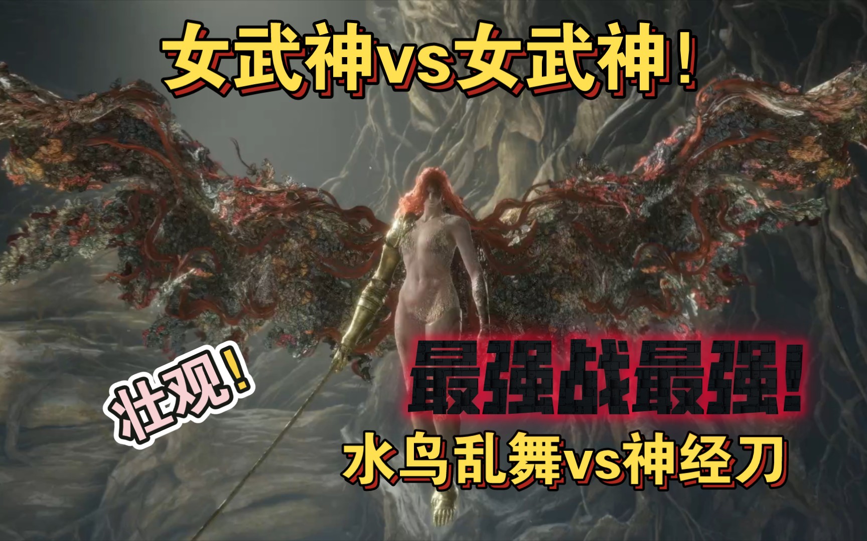 玛莲妮亚】女武神vs女武神!腐败の花,终将凋落!