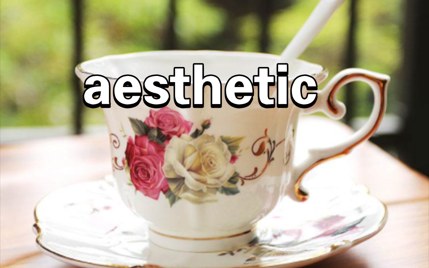 一秒钟记个单词"aesthetic"哔哩哔哩bilibili