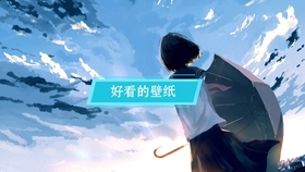 动态壁纸 真一点细节 哔哩哔哩 つロ干杯 Bilibili