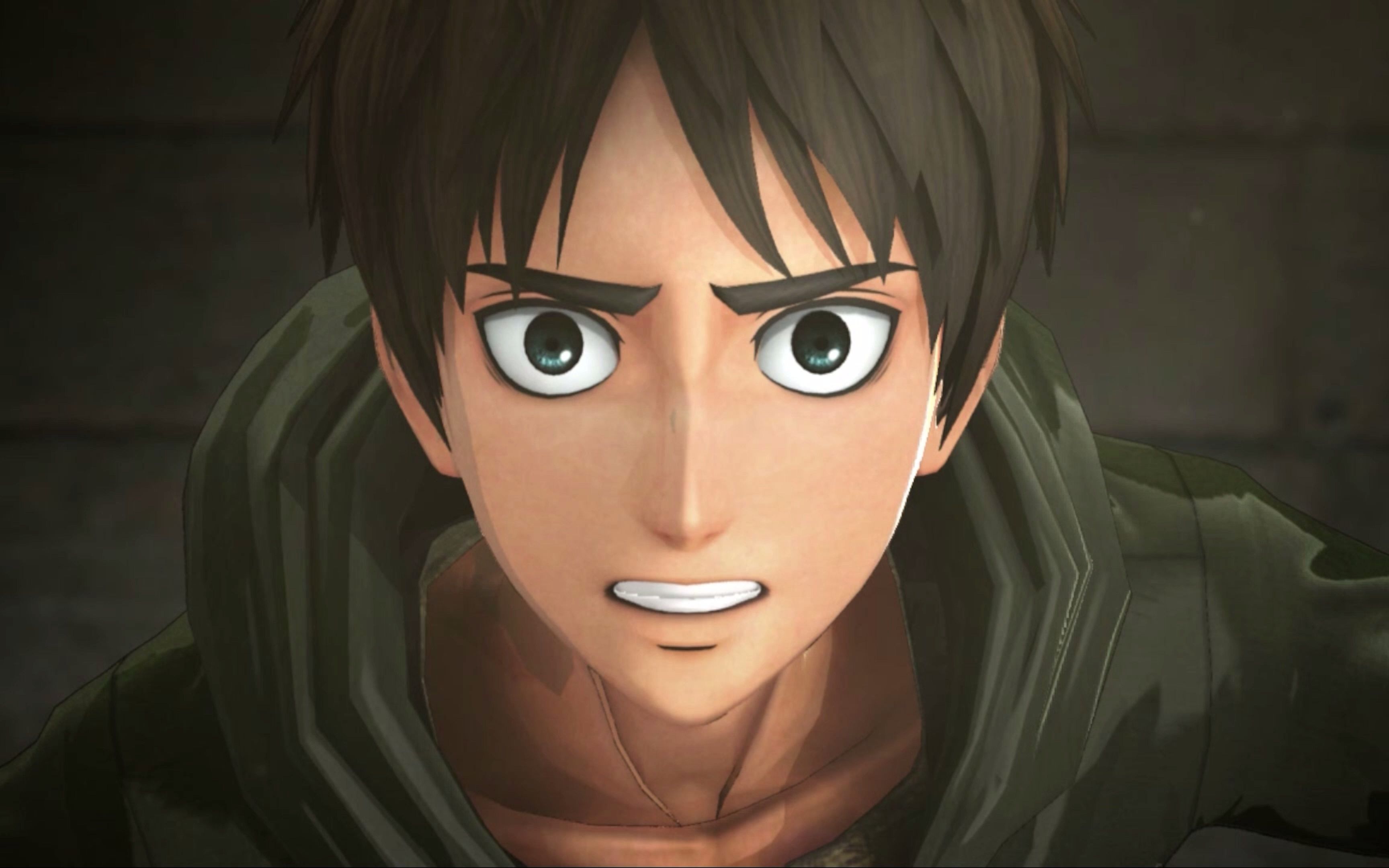 4k|进击的巨人/attack on titan|微笑