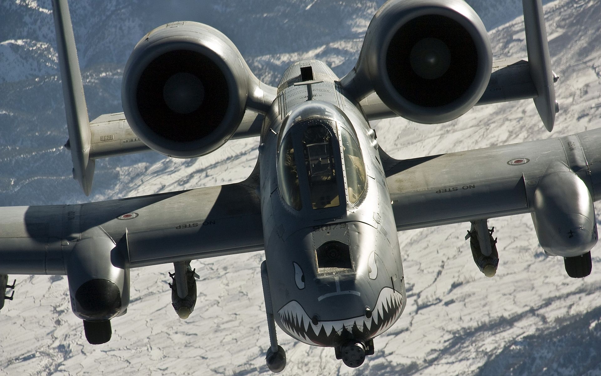 美国疣猪攻击机的机枪图片