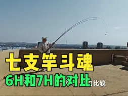 Video herunterladen: 七支竿斗魂6H和7H对比