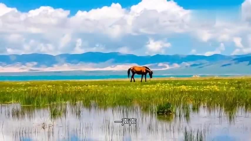 徐千雅用清澈空靈的嗓音歌唱《青海湖》,唯美深情,百聽不厭