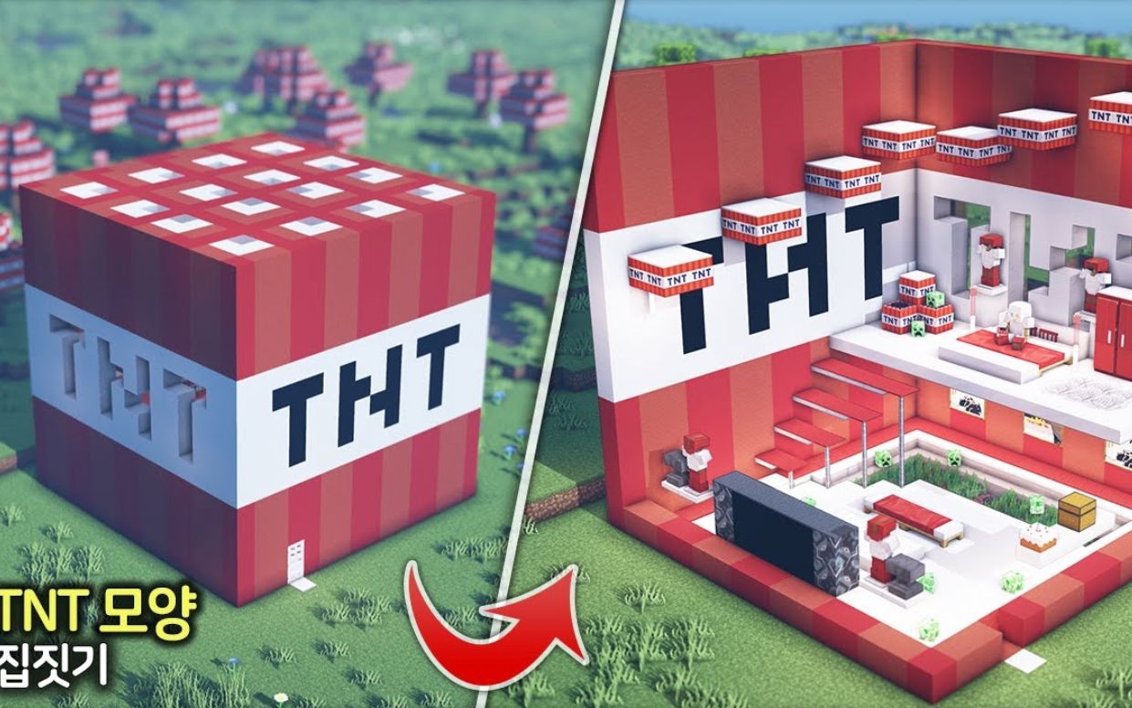 mc住在tnt里真不戳