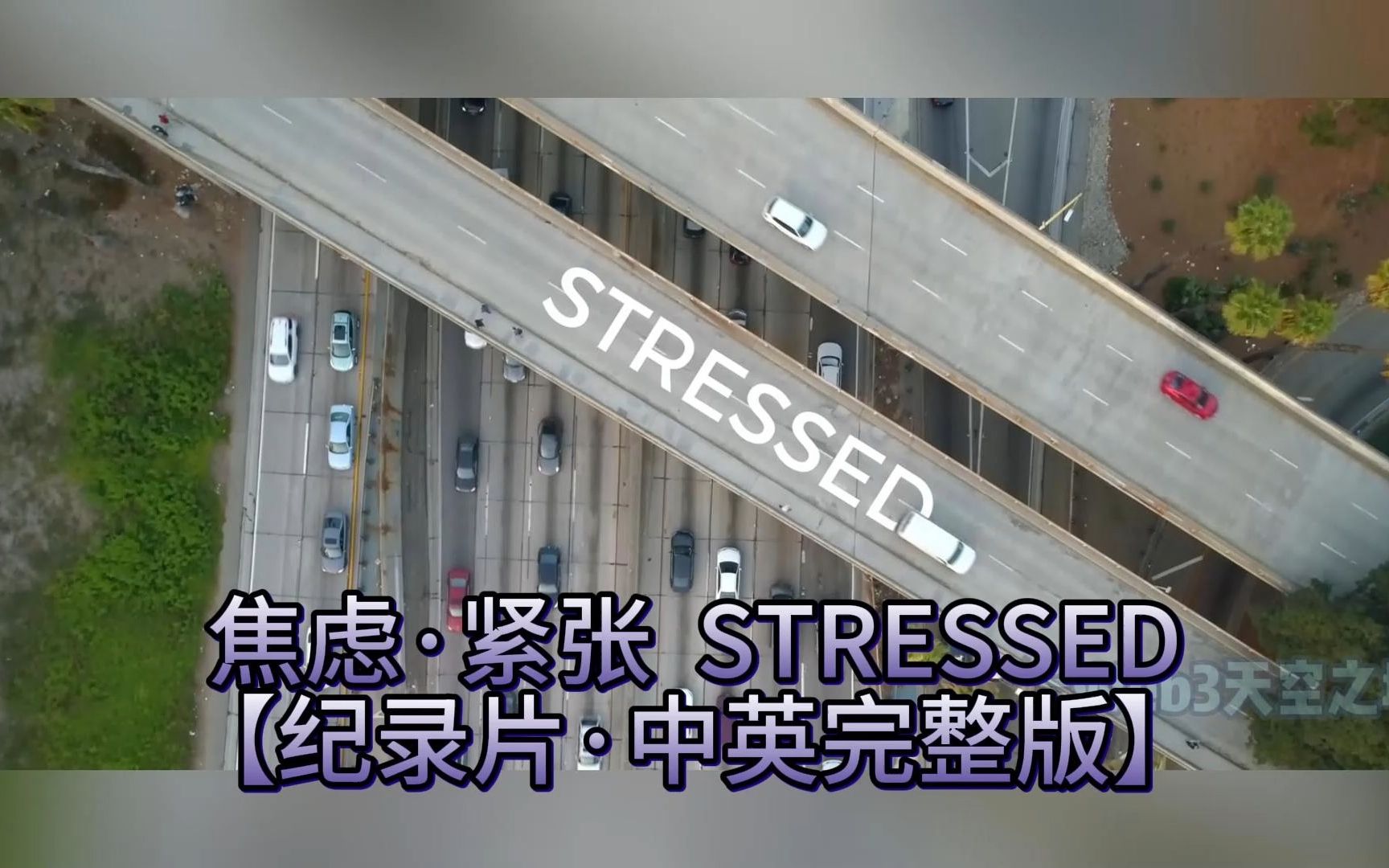 焦虑ⷧ𔧥𜠠Stressed 【纪录片ⷤ𘭨‹𑥮Œ整版】哔哩哔哩bilibili