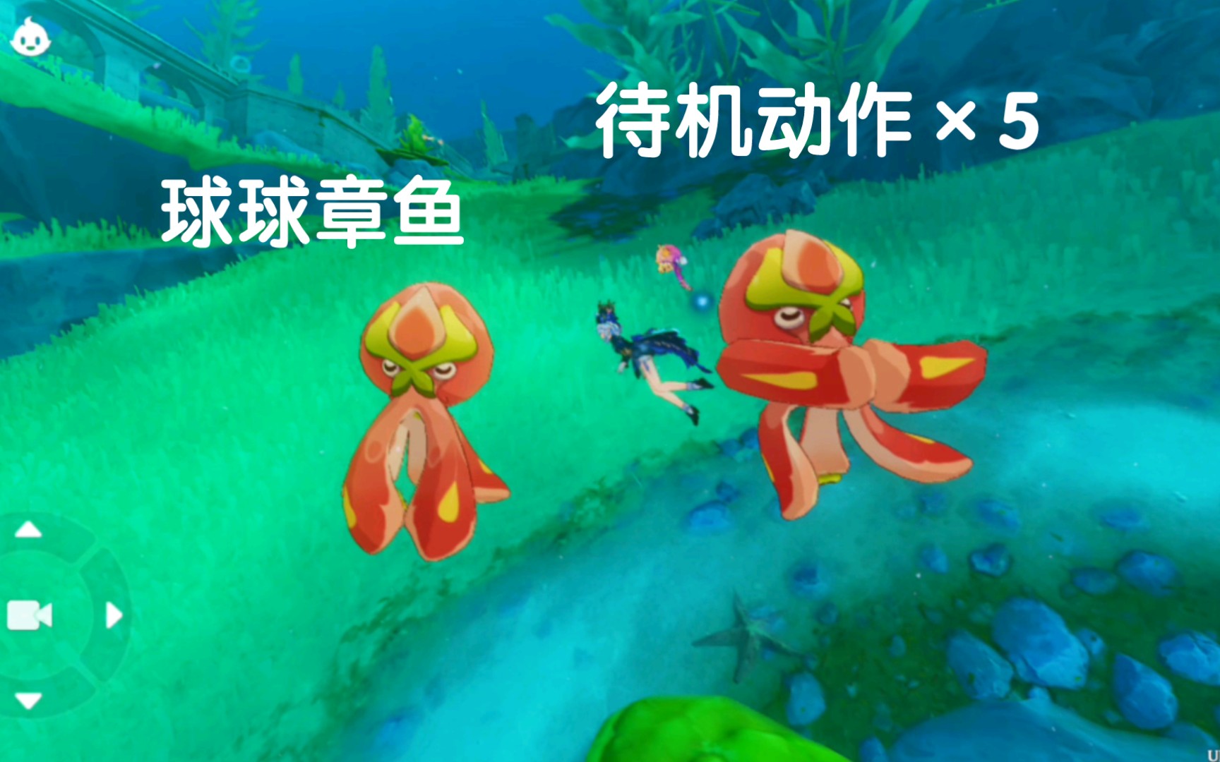 以防你没看过球球章鱼的五个待机动作