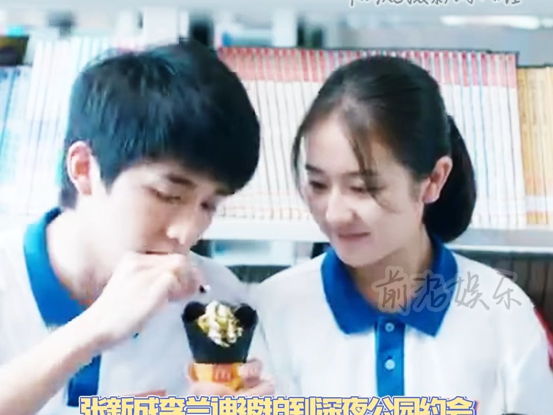 张新成李兰迪恋情