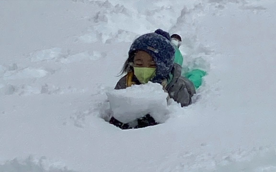 [图]雪中即景❄️ 玩得撒欢儿