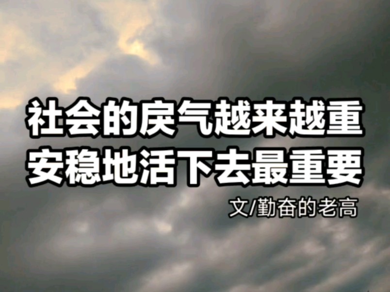 社会上的戾气越来越重,安稳地活下去最重要…哔哩哔哩bilibili