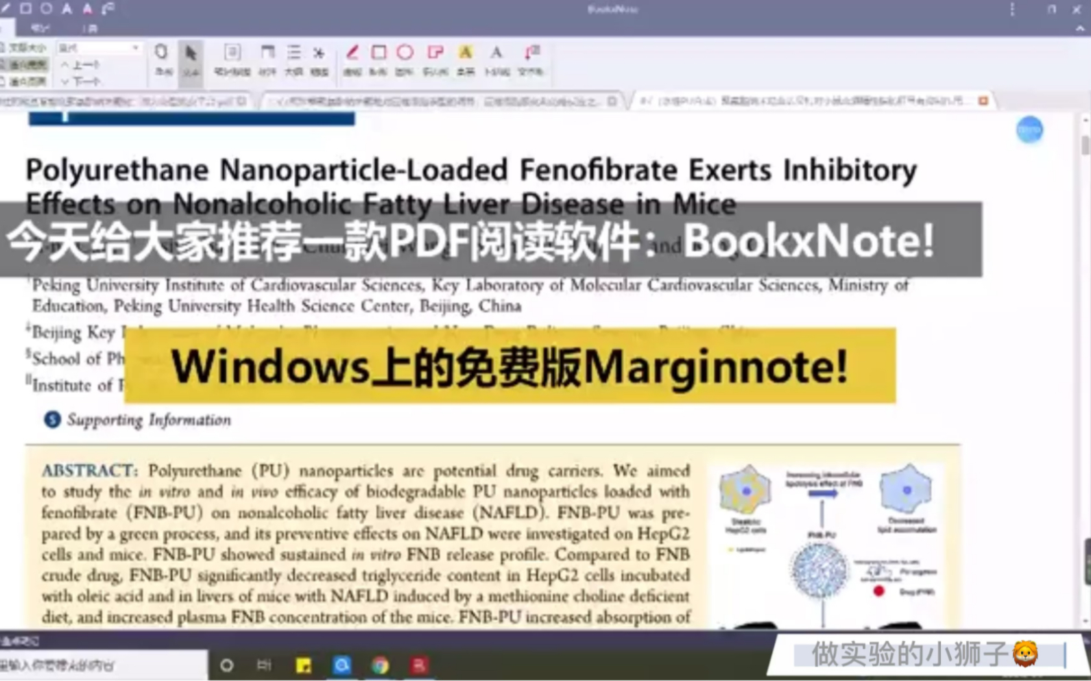 文献阅读|软件分享|BookxNote |做实验的小狮子|一起读文献|Marginnote 的Window替代哔哩哔哩bilibili