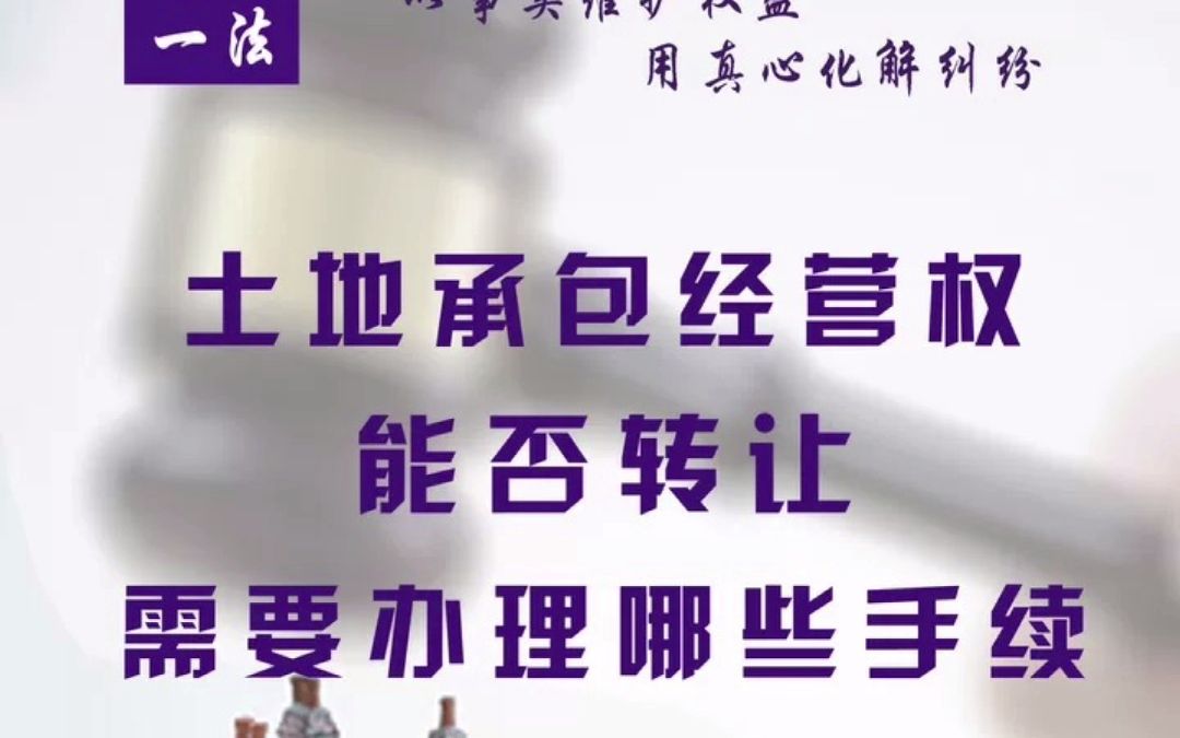 【每日一法】土地承包经营权能否转让,需要办理哪些手续?哔哩哔哩bilibili