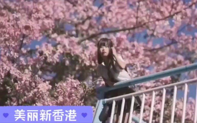 美丽新香港(电影《金鸡SSS》主题曲)哔哩哔哩bilibili