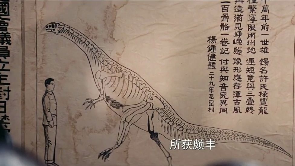电影无问西东 杨钟健院士在抗日期间发现中国第一龙许氏禄丰龙