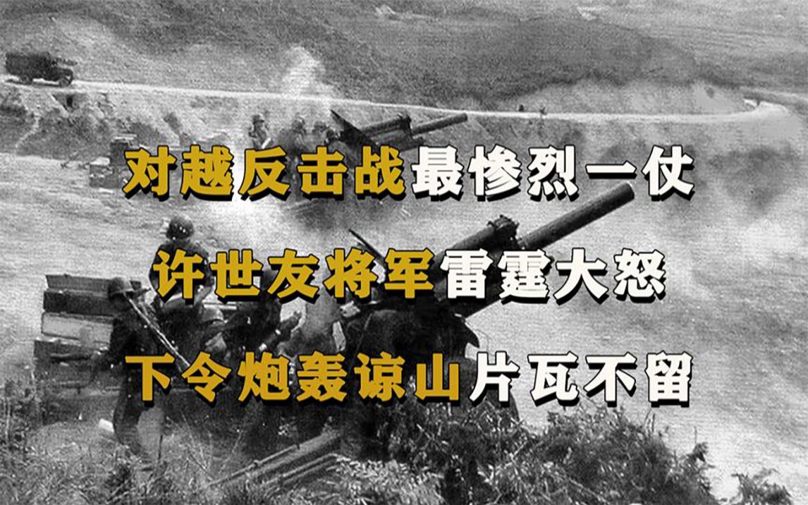 对越自卫反击中最惨烈一战,许世友将军下令:万炮齐发片瓦不留_哔哩