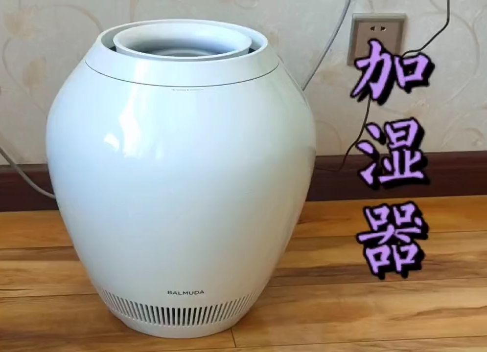 孙子还是孝顺给奶奶买了一台 balmuda 日本巴慕达加湿器.