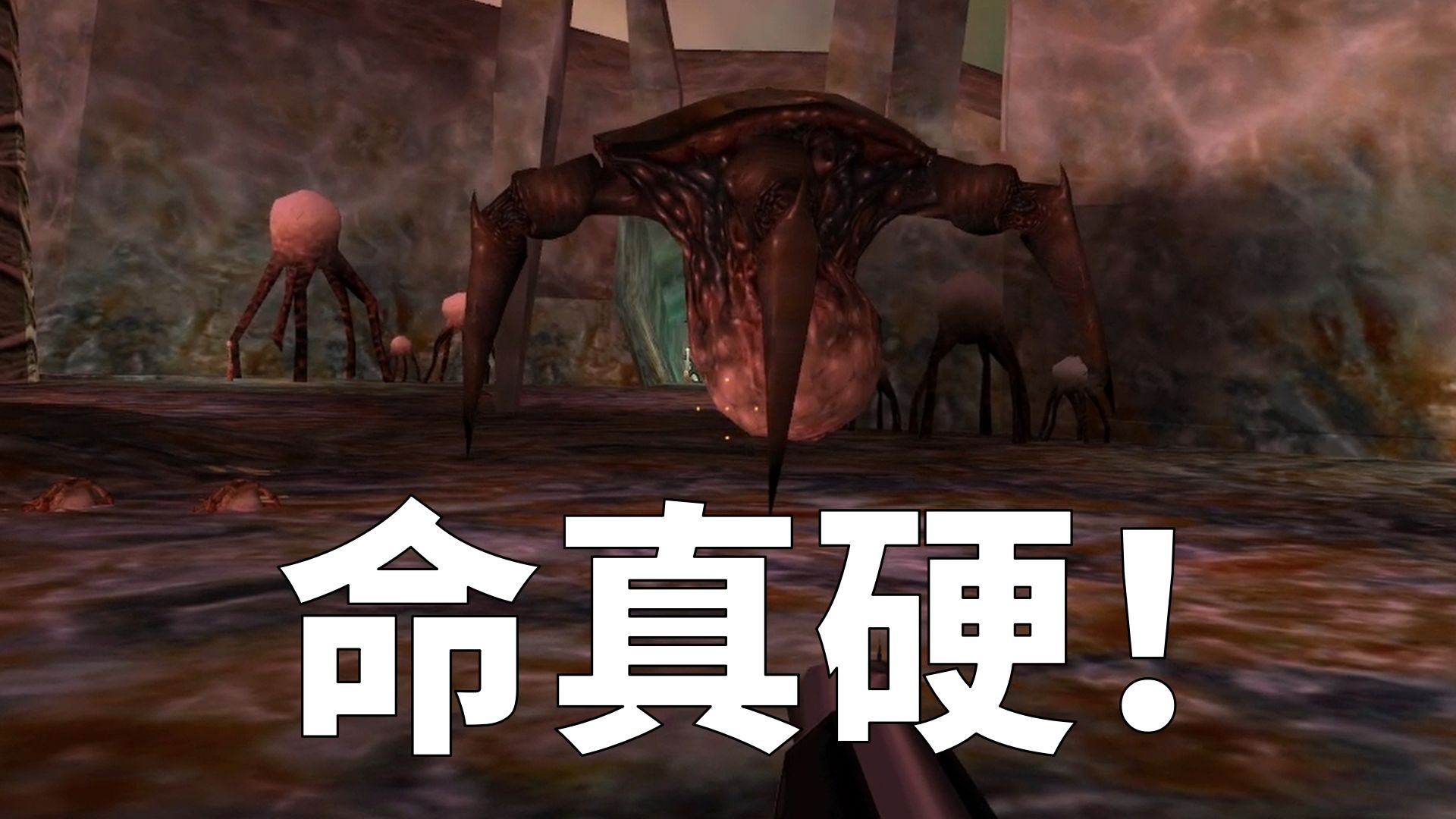 就你叫猎头蟹之母啊!