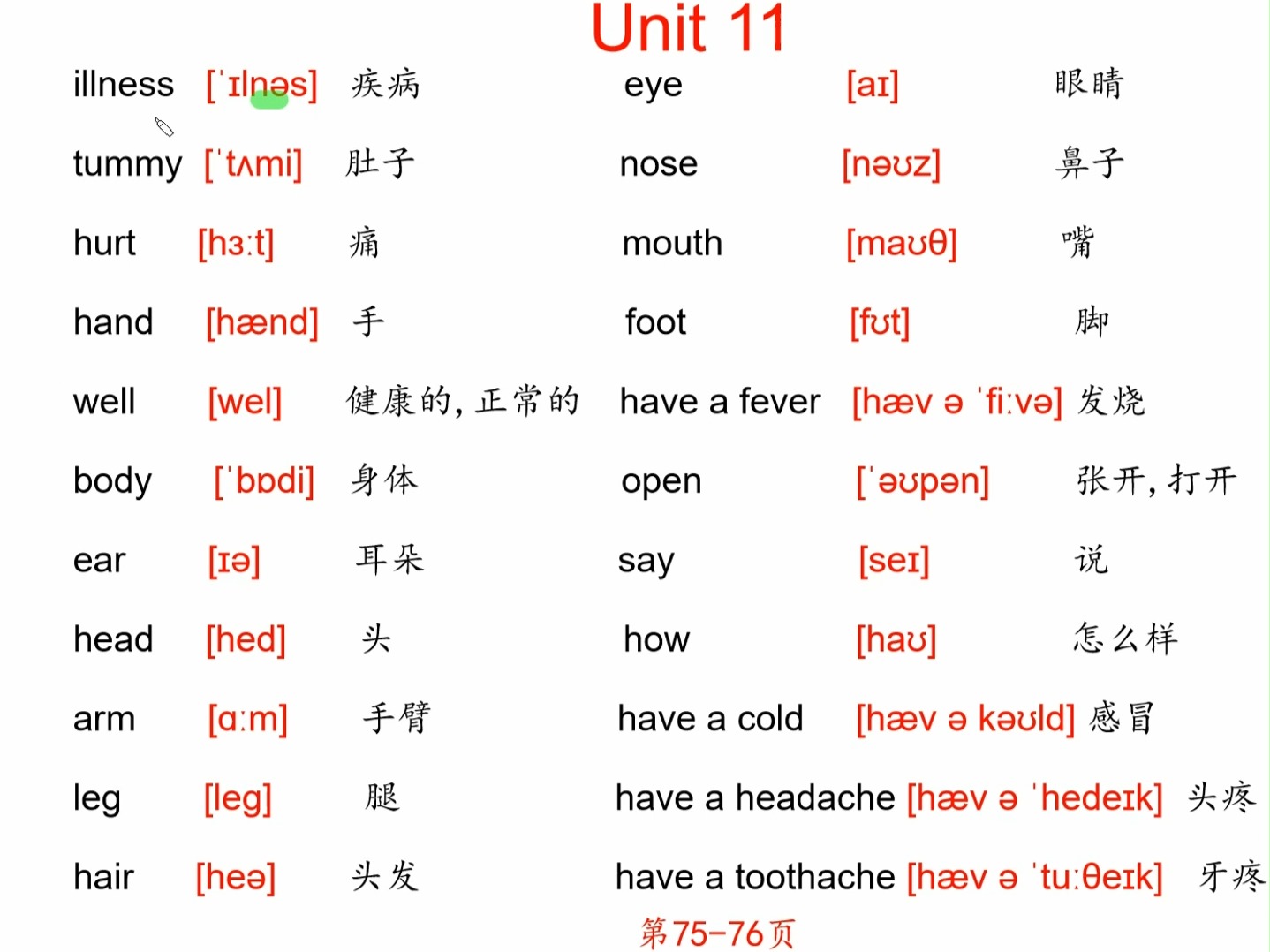 北师大版小学英语四年级下册 unit11单词发音