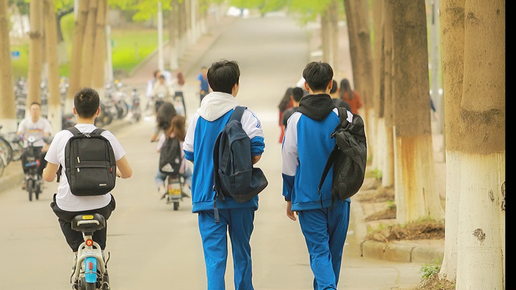 学生放学回家路上图片