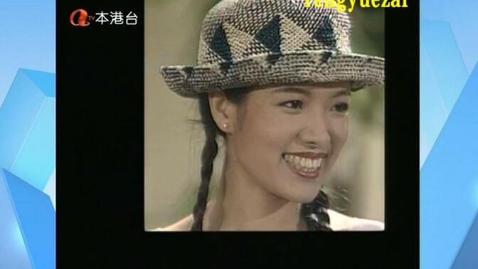 香港atv电视剧:枪神 (1993)主演: 吕颂贤 / 万绮雯 / 陈锦鸿 / 罗烈