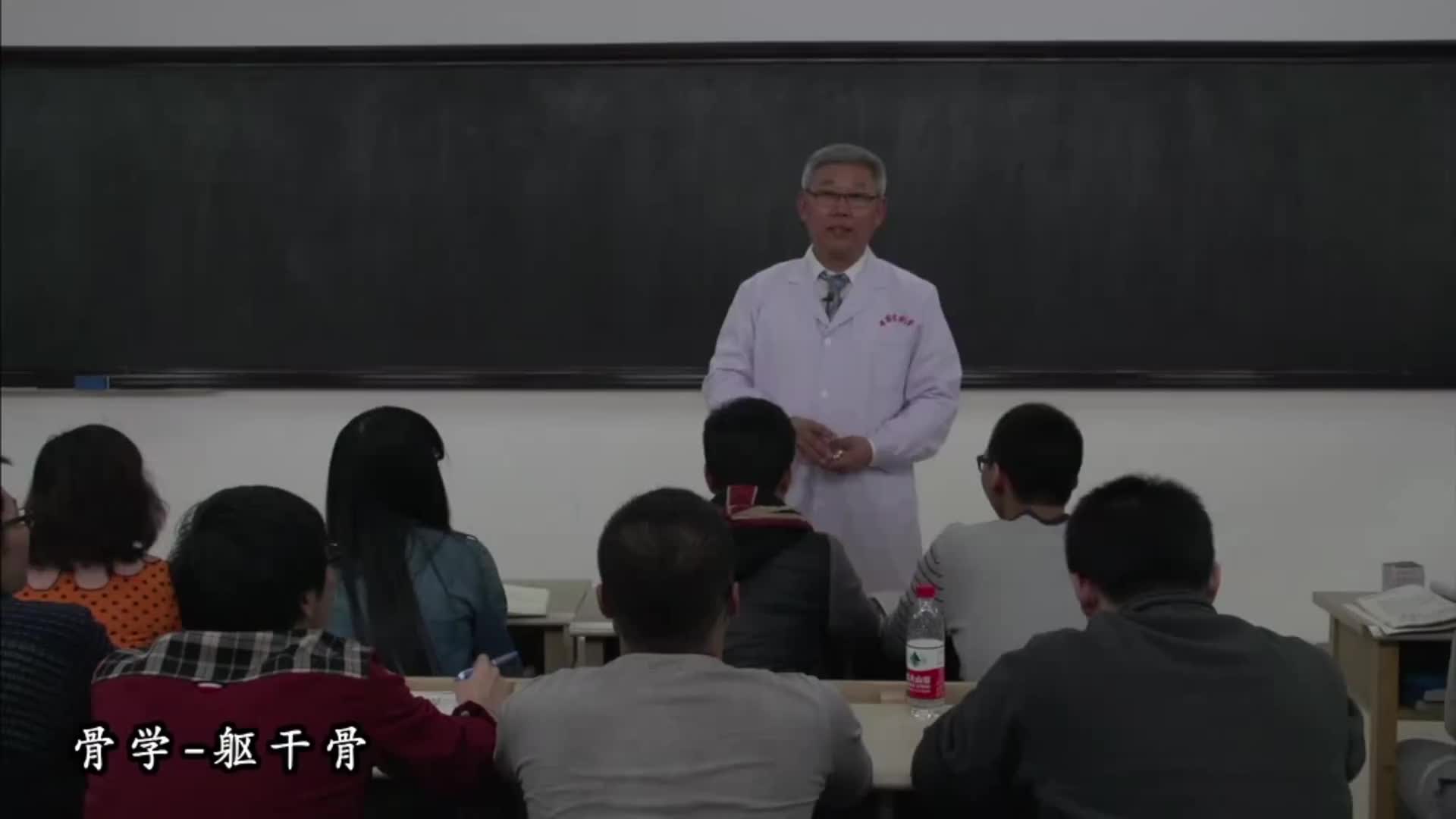 [图]【人体解剖学】【系统解剖学】霍琨老师手绘解剖学视频（带字幕版）第一章-骨学